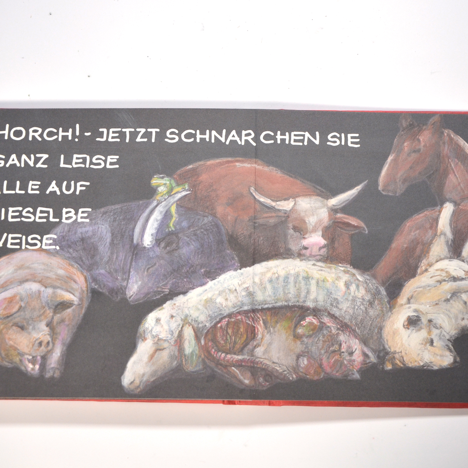 Papp-Bilderbuch "Fremdsprachen im Tierreich" – Bild 4